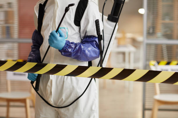 Professional Sewage Cleanup technician working in Troy, TN